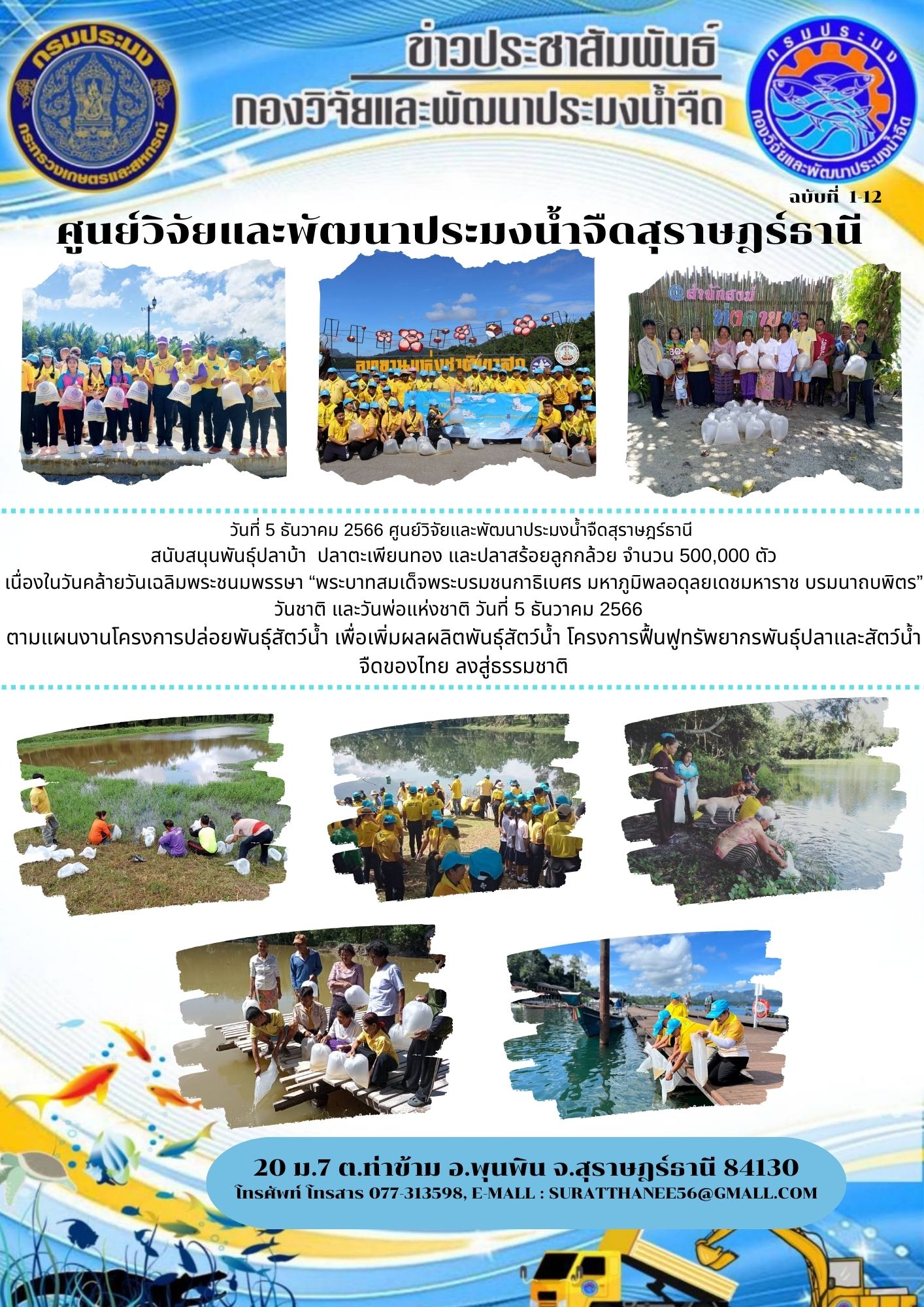 วันที่ 5 ธันวาคม 2566 ศูนย์วิจัยและพัฒนาประมงน้ำจืดสุราษฎร์ธานี  สนับสนุนพันธุ์ปลาบ้า  ปลาตะเพียนทอง และปลาสร้อยลูกกล้วย จำนวน 500,000 ตัว เนื่องในวันคล้ายวันเฉลิมพระชนมพรรษา “พระบาทสมเด็จพระบรมชนกาธิเบศร มหาภูมิพลอดุลยเดชมหาราช บรมนาถบพิตร” วันชาติ และวันพ่อแห่งชาติ วันที่ 5 ธันวาคม 2566..คลิก