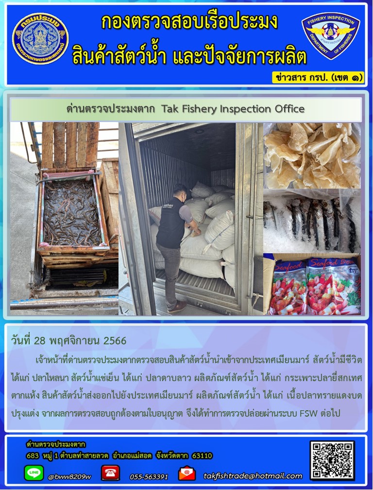 วันที่ 28 พฤศจิกายน 2566           เจ้าหน้าที่ด่านตรวจประมงตากตรวจสอบสินค้าสัตว์น้ำนำเข้าจากประเทศเมียนมาร์ สัตว์น้ำมีชีวิต ได้แก่ ปลาไหลนา สัตว์น้ำแช่เย็น ได้แก่ ปลาดาบลาว ผลิตภัณฑ์สัตว์น้ำ ได้แก่ กระเพาะปลายี่สกเทศตากแห้ง สินค้าสัตว์น้ำส่งออกไปยังประเทศเมียนมาร์ ผลิตภัณฑ์สัตว์น้ำ ได้แก่ เนื้อปลาทรายแดงบดปรุงแต่ง จากผลการตรวจสอบถูกต้องตามใบอนุญาต จึงได้ทำการตรวจปล่อยผ่านระบบ FSW ต่อไป..คลิก