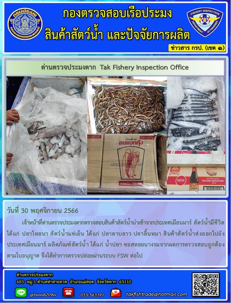 วันที่ 30 พฤศจิกายน 2566           เจ้าหน้าที่ด่านตรวจประมงตากตรวจสอบสินค้าสัตว์น้ำนำเข้าจากประเทศเมียนมาร์ สัตว์น้ำมีชีวิต ได้แก่ ปลาไหลนา สัตว์น้ำแช่เย็น ได้แก่ ปลาดาบลาว ปลาลิ้นหมา สินค้าสัตว์น้ำส่งออกไปยังประเทศเมียนมาร์ ผลิตภัณฑ์สัตว์น้ำ ได้แก่ น้ำปลา ซอสหอยนางรมจากผลการตรวจสอบถูกต้องตามใบอนุญาต จึงได้ทำการตรวจปล่อยผ่านระบบ FSW ต่อไป..คลิก
