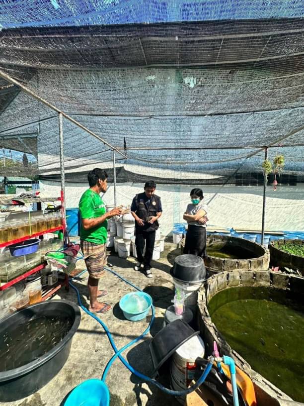 ประมงอำเภอโกรกพระ ตรวจสอบคุณสมบัติเกษตรกร ที่ยื่นคำขอขึ้นทะเบียนผู้เพาะเลี้ยงสัตว์น้ำ (ทบ.1) เลี้ยงปลากัด..คลิก