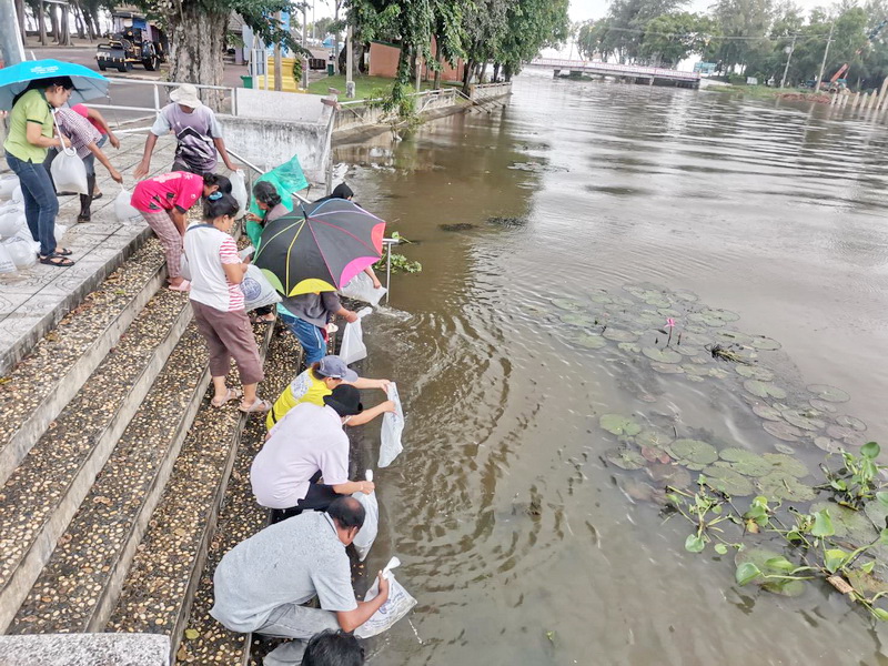 ร่วมปล่อยพันธุ์ปลากินพืช ลงสู่ทะเลสาบสงขลา อ.เมือง จ.พัทลุง..คลิก