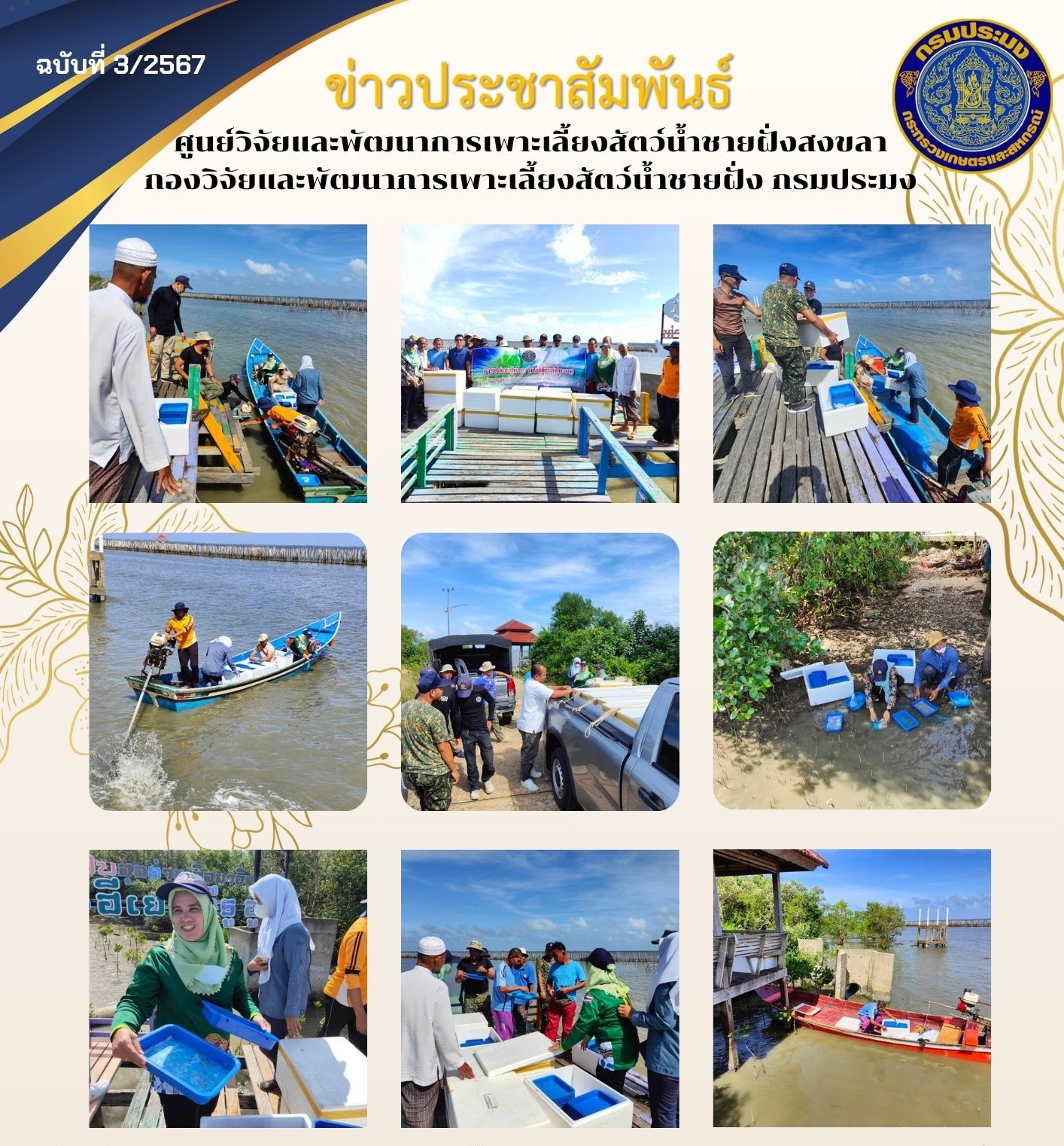 เมื่อวันที่ 6 ธันวาคม 2566 นางสาวปริศนา คลิ้งสุขคล้าย ผู้อำนวยการศูนย์วิจัยและพัฒนาการเพาะเลี้ยงสัตว์น้ำชายฝั่งสงขลา มอบหมายให้นายอุกฤษฏ์ ชูสุวรรณ นักวิชาการประมงปฏิบัติการ ส่งมอบพันธุ์ปูทะเล ขนาด 0.3-0.5 เซนติเมตร จำนวน 150,000 ตัว ให้แก่สำนักงานประมงจังหวัดปัตตานี..คลิก