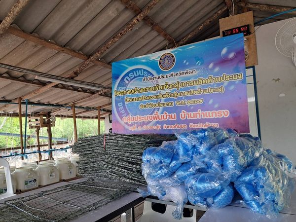 8 ธันวาคม 2566..คลิก