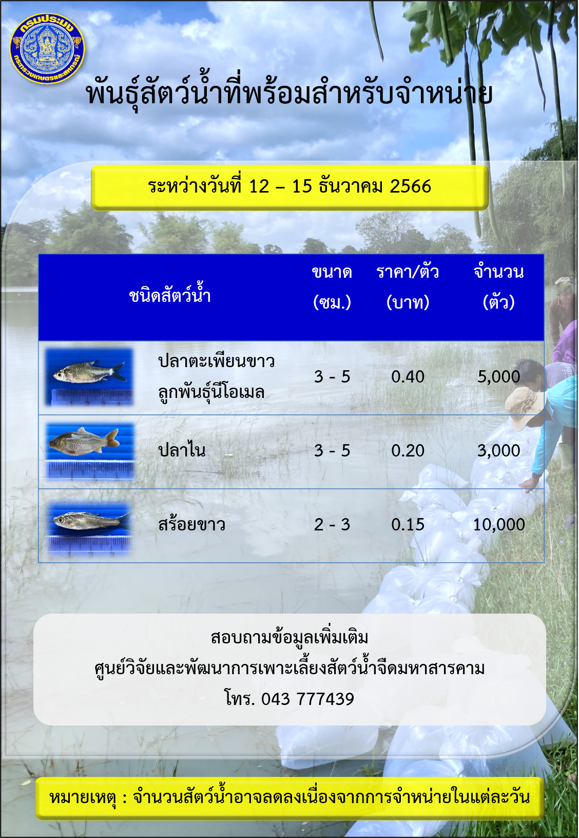 พันธุ์สัตว์น้ำที่พร้อมสำหรับจำหน่าย ระหว่างวันที่ 12 – 15 ธันวาคม 2566..คลิก