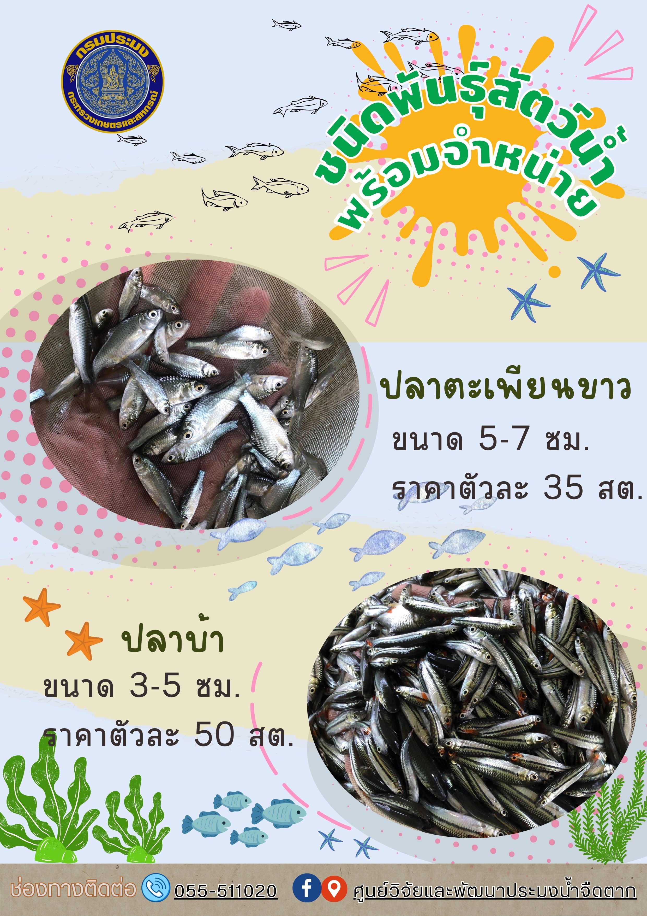 ชนิดพันธุ์สัตว์น้ำที่มีจำหน่ายระหว่างวันที่ ๑๒ - ๑๕ ธันวาคม พ.ศ. ๒๕๖๖..คลิก