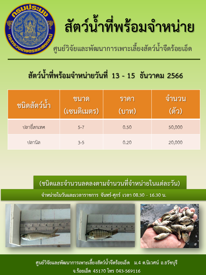 สัตว์น้ำที่พร้อมจำหน่ายวันที่ 13 - 15  ธันวาคม 2566..คลิก