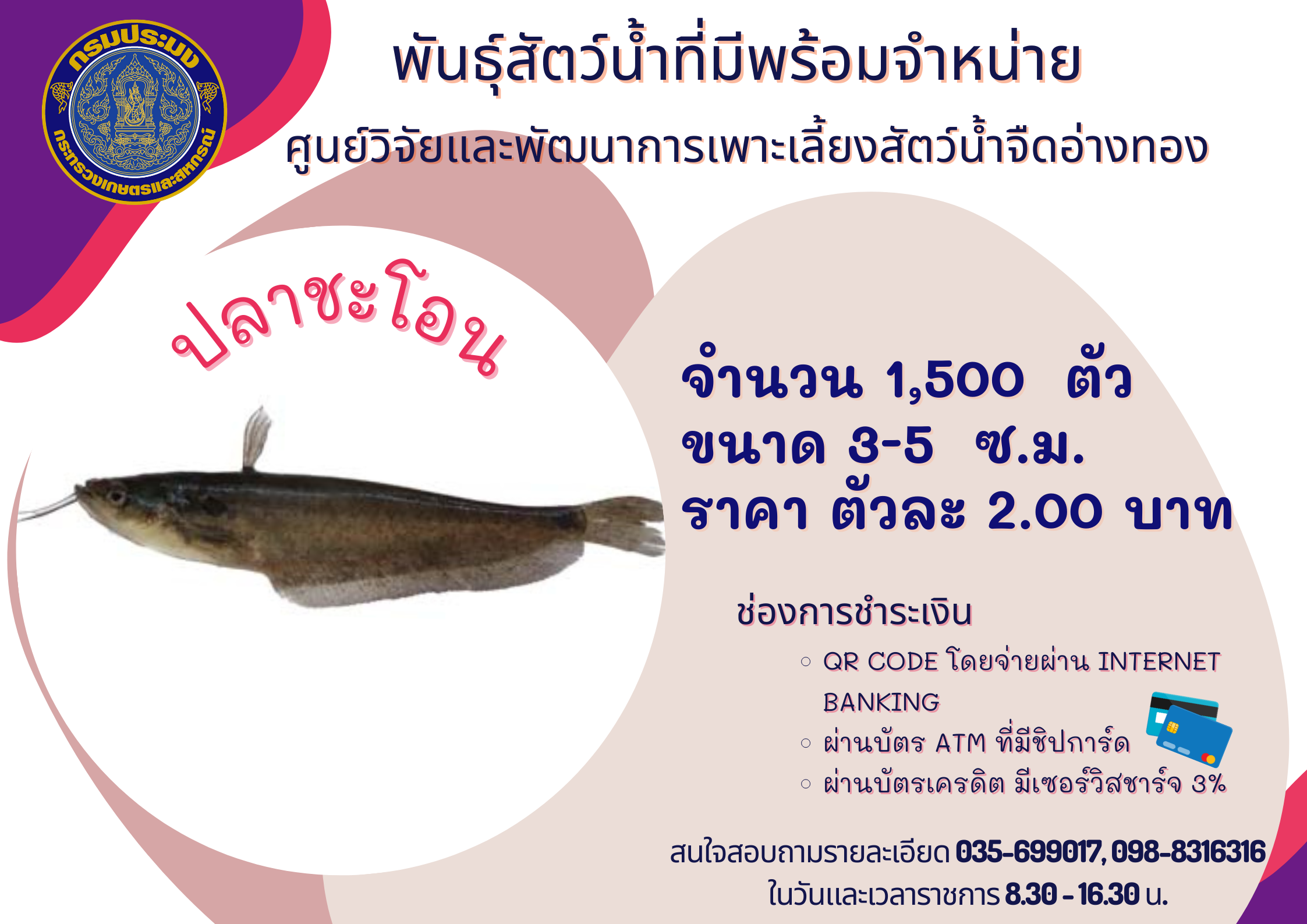 พันธุ์สัตว์น้ำที่มีพร้อมจำหน่าย..คลิก