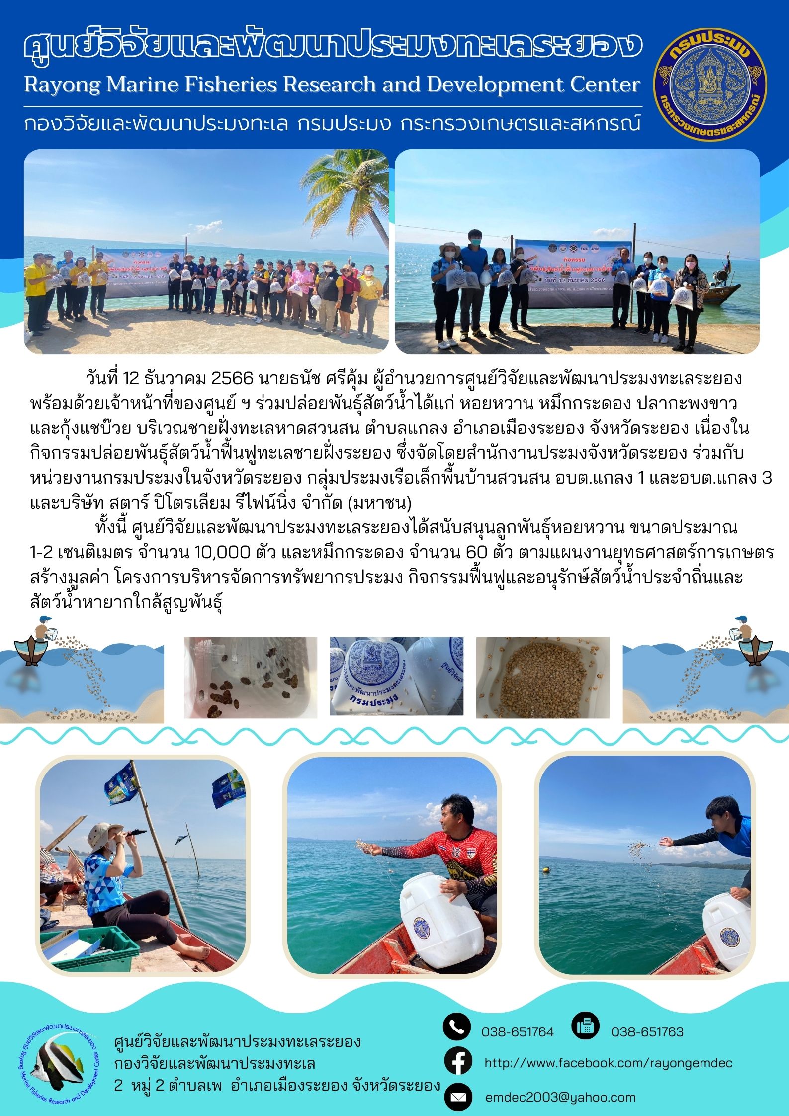 วันที่ 12 ธันวาคม 2566 นายธนัช ศรีคุ้ม ผู้อำนวยการศูนย์วิจัยและพัฒนาประมงทะเลระยองพร้อมด้วยเจ้าหน้าที่ของศูนย์ฯ ร่วมปล่อยพันธุ์สัตว์น้ำได้แก่ หอยหวาน หมึกกระดอง ปลากะพงขาว และกุ้งแชบ๊วย บริเวณชายฝั่งทะเลหาดสวนสน ตำบลแกลง อำเภอเมืองระยอง จังหวัดระยอง เนื่องในกิจกรรมปล่อยพันธุ์สัตว์น้ำฟื้นฟูทะเลชายฝั่งระยิง ซึ่งจัดโดยสำนักงานประมงจังหวัดระยอง ร่วมกับหน่วยงานกรมประมงในจังหวัดระยอง กลุ่มประมงเรือเล็กพื้นสวนสน อบต.แกลง 1 และอบต.แกลง 3 และบริษัท สตาร์ ปิโตเลียม รีไฟน์นิ่ง จำกัด (มหาชน) ฯลฯ..คลิก