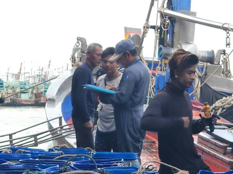  เจ้าหน้าที่ศูนย์วิจัยและพัฒนาประมงทะเลสงขลา ออกปฏิบัติงานเก็บข้อมูลทรัพยากรประมงจากเรืออวนล้อมจับที่ขึ้นท่าในพื้นที่จังหวัดสงขลา ประจำเดือนพฤศจิกายน 2566..คลิก