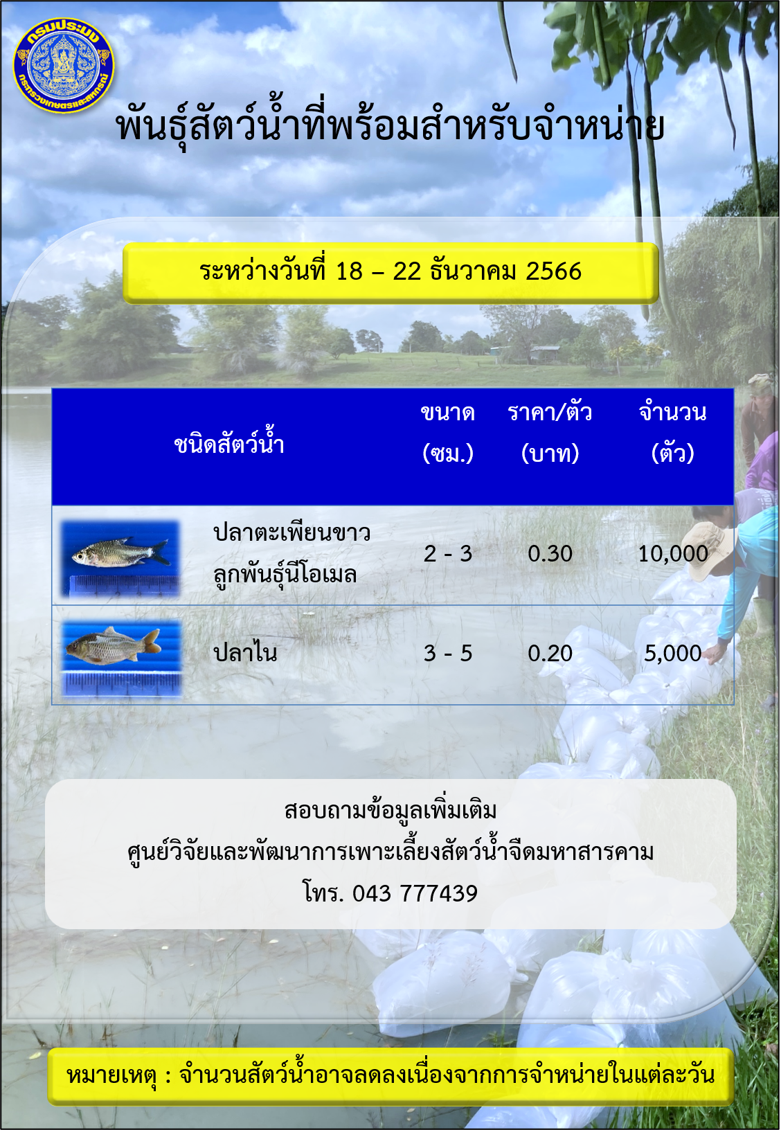 พันธุ์สัตว์น้ำที่พร้อมสำหรับจำหน่าย ระหว่างวันที่ 18 – 22 ธันวาคม 2566..คลิก