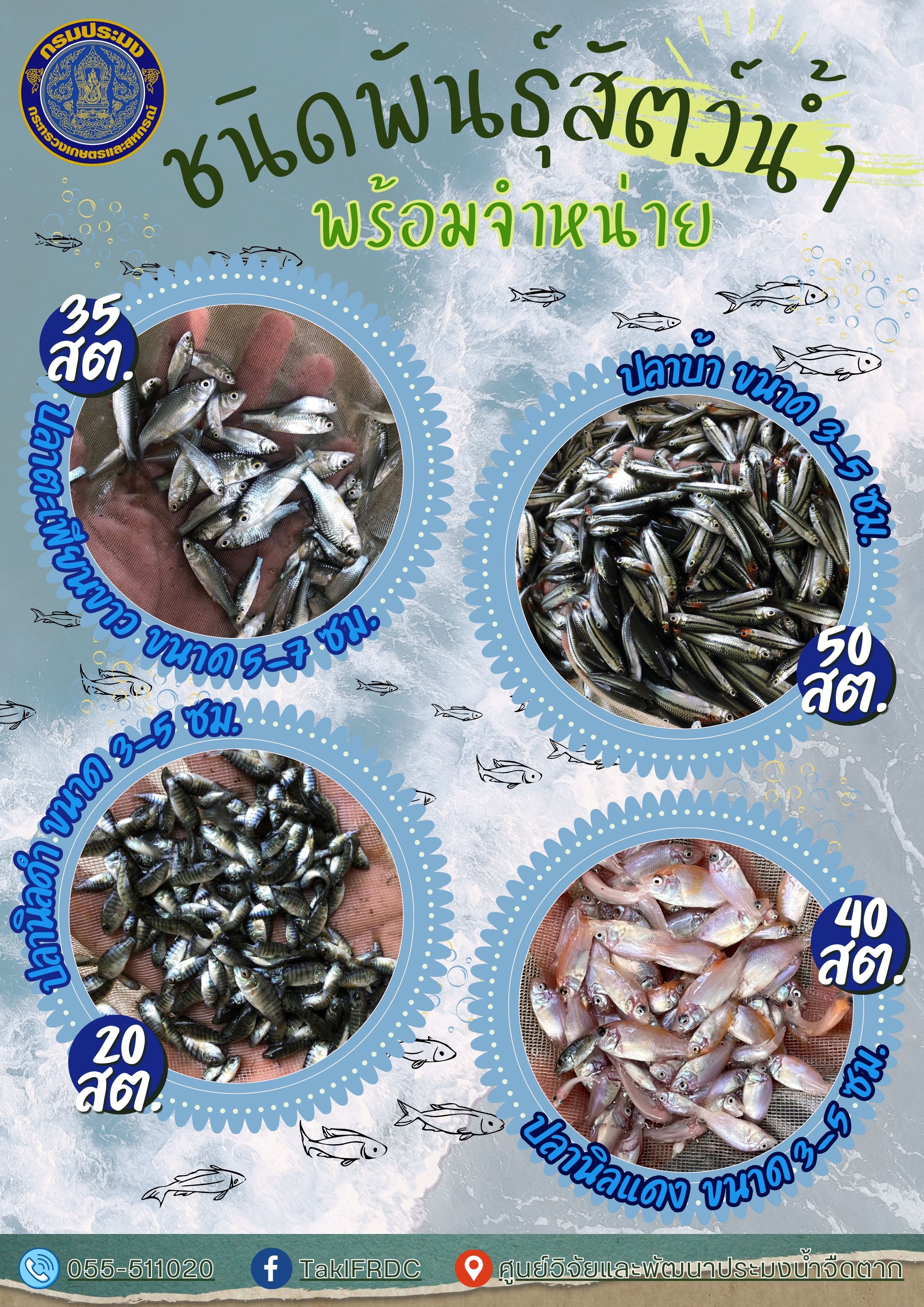 ชนิดพันธุ์สัตว์น้ำที่มีจำหน่ายระหว่างวันที่ ๑๘ - ๒๒ ธันวาคม พ.ศ. ๒๕๖๖..คลิก