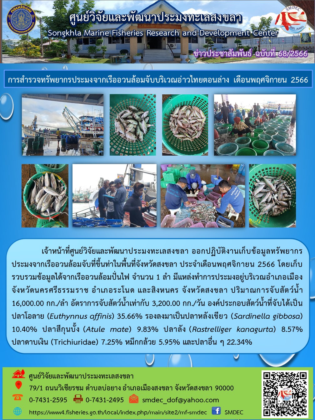 เจ้าหน้าที่ศูนย์วิจัยและพัฒนาประมงทะเลสงขลา ออกปฏิบัติงานเก็บรวบรวมข้อมูลสภาวะการทำประมงพื้นบ้านในพื้นที่จังหวัดสงขลา ประจำเดือนพฤศจิกายน 2566 โดยเก็บรวบรวมข้อมูลได้จากเรืออวนล้อมปั่นไฟ จำนวน 1 ลำ มีแหล่งทำการประมงอยู่บริเวณอำเภอเมืองจังหวัดนครศรีธรรมราช อำเภอระโนด และสิงหคร จังหวัดสงขลา ปริมาณการจับสัตว์น้ำ 16,000.00 กก./ลำ อัตราการจับสัตว์น้ำเท่ากับ 3,200.00 กก./วัน ฯลฯ..คลิก