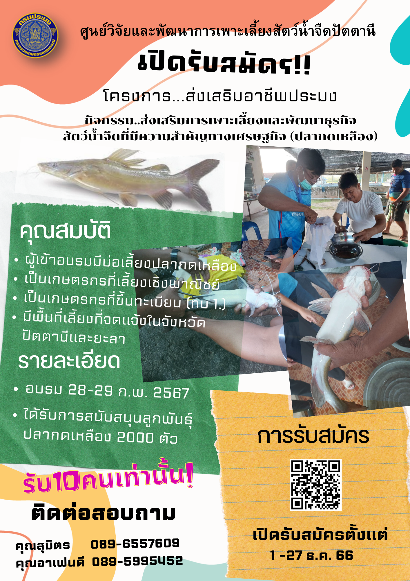 โครงการส่งเสริมอาชีพประมง (ปลากดเหลือง)