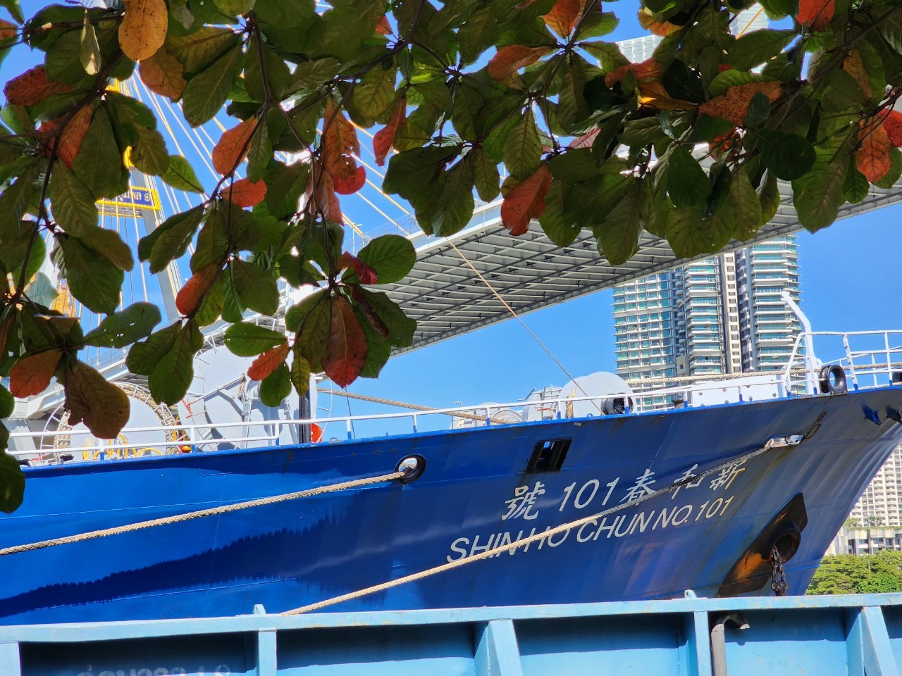 ตรวจสอบเรือตามมาตรการรัฐเจ้าของท่า : SHIN HO CHUN NO.101..คลิก