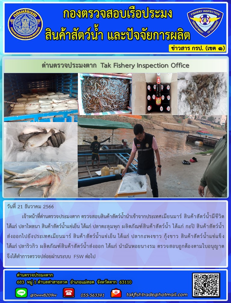 วันที่ 21 ธันวาคม 2566           เจ้าหน้าที่ด่านตรวจประมงตาก ตรวจสอบสินค้าสัตว์น้ำนำเข้าจากประเทศเมียนมาร์ สินค้าสัตว์น้ำมีชีวิต ได้แก่ ปลาไหลนา สินค้าสัตว์น้ำแช่เย็น ได้แก่ ปลาตะลุมพุก ผลิตภัณฑ์สินค้าสัตว์น้ำ ได้แก่ กะปิ สินค้าสัตว์น้ำส่งออกไปยังประเทศเมียนมาร์ สินค้าสัตว์น้ำแช่เย็น ได้แก่ ปลากะพงขาว กุ้งขาว สินค้าสัตว์น้ำแช่แข็ง ได้แก่ ปลาริวกิว ผลิตภัณฑ์สินค้าสัตว์น้ำส่งออก ได้แก่ นำมันหอยนางรม ตรวจสอบถูกต้องตามใบอนุญาต จึงได้ทำการตรวจปล่อยผ่านระบบ FSW ต่อไป..คลิก