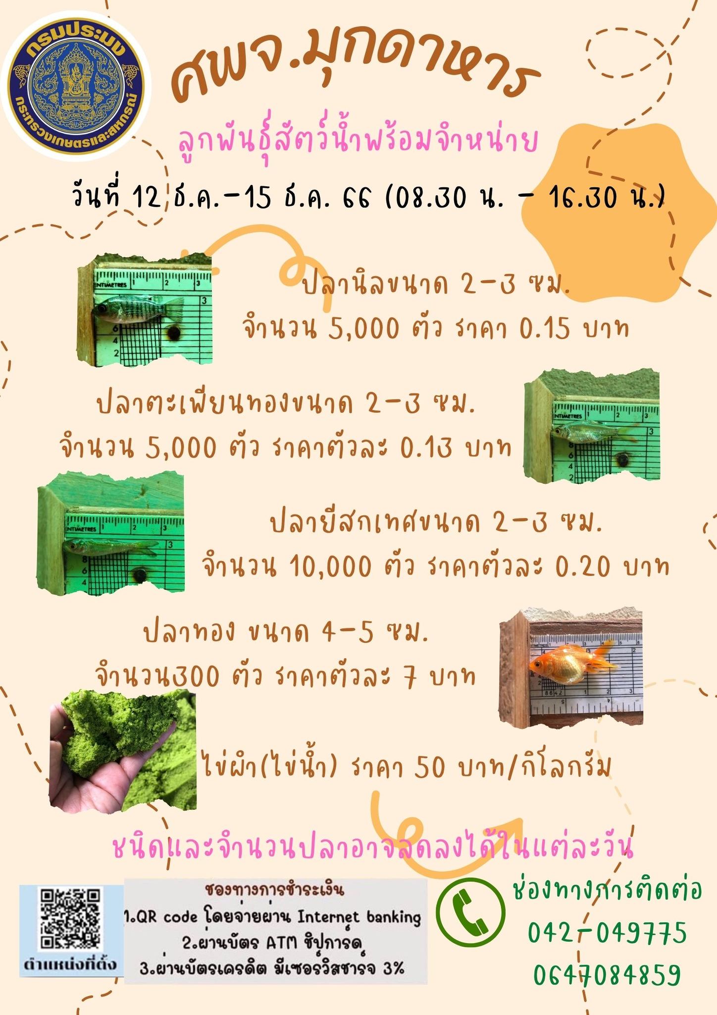 ลูกพันธุ์สัตว์น้ำพร้อมจำหน่าย 12 -15 ธันวาคม 2566..คลิก