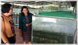 ต้อนรับคณะอาจารย์ นักเรียนโรงเรียนวิทยาศาสตร์จุฬาภรณ์ตรัง..คลิก