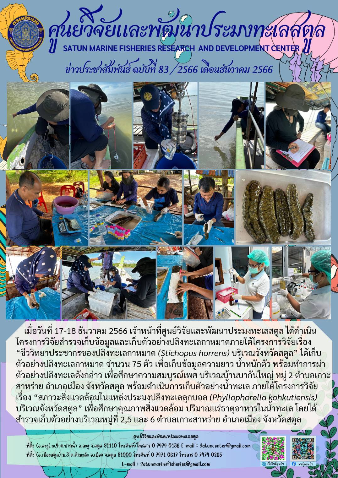 เมื่อวันที่ 17-18 ธันวาคม 2566 เจ้าหน้าที่ศูนย์วิจัยและพัฒนาประมงทะเลสตูล ได้ดำเนินโครงการวิจัยสำรวจเก็บข้อมูลและเก็บตัวอย่างปลิงทะเลกาหมาดภายใต้โครงการวิจัยเรื่อง “ชีววิทยาประชากรของปลิงทะเลกาหมาด (Stichopus horrens) บริเวณจังหวัดสตูล” ได้เก็บตัวอย่างปลิงทะเลกาหมาด จำรวน 75 ตัว เพื่อเก็บข้อมูลความยาว น้ำหนักตัว พร้อมทำการผ่าตัวอย่างปลิงทะเลดังกล่าว เพื่อศึกษาความสมบูรณ์เพศ บริเวณบ้านบากันใหญ่ หมู่ 2 ตำบลเกาะสาหร่าย อำเภอเมือง จังหวัดสตูล ฯลฯ..คลิก