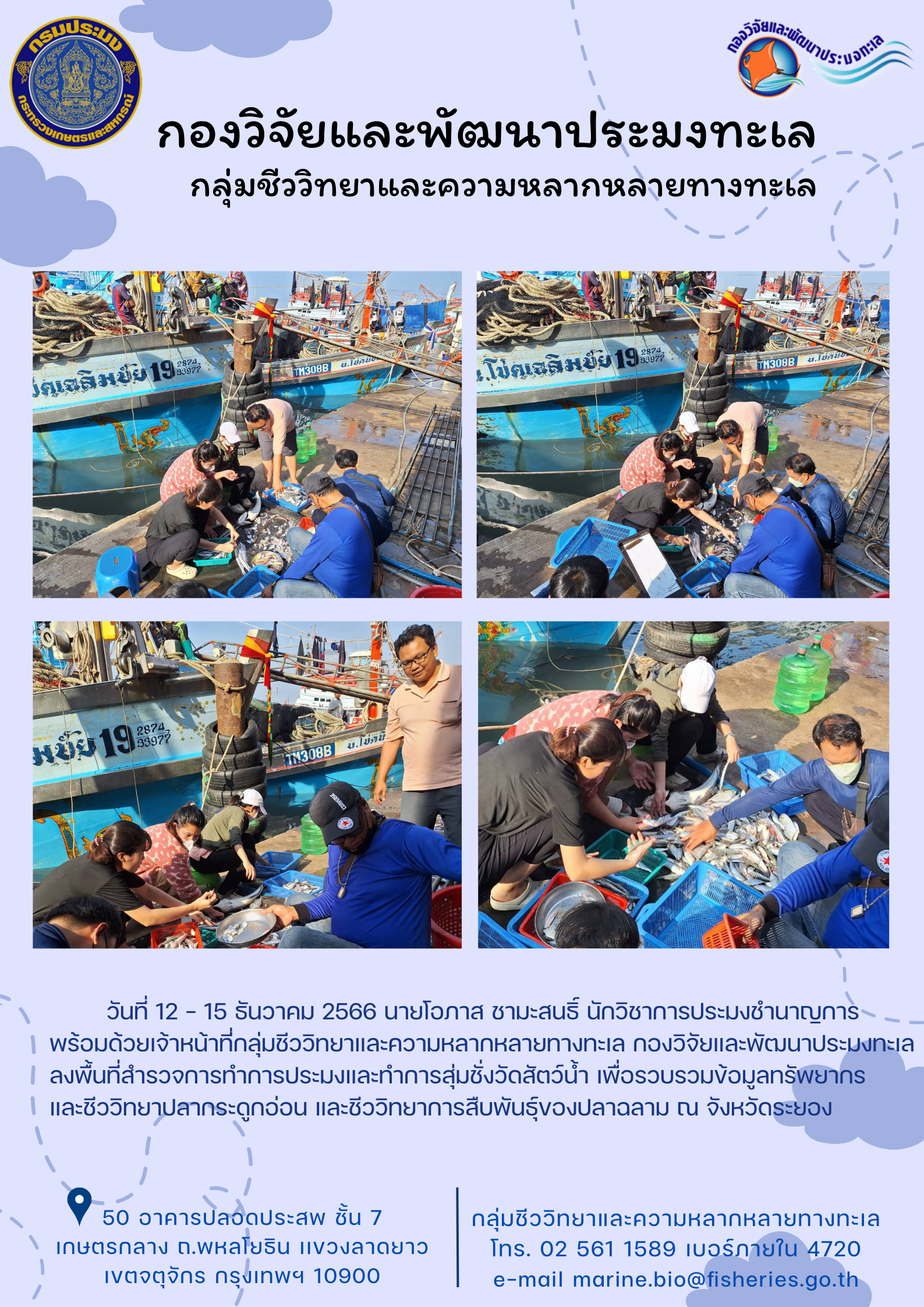 ลงพื้นที่สำรวจการทำการประมงและทำการสุ่มชั่งวัดสัตว์น้ำ เพื่อรวบรวมข้อมูลทรัพยากรชีววิทยาปลากระดูกอ่อน และชีววิทยาการสืบพันธุ์ของปลาฉลาม ณ จังหวัดระยอง..คลิก