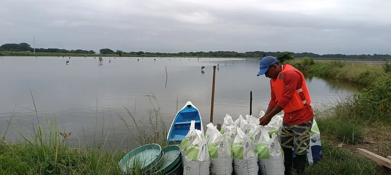 BioMar ร่วมกับ Auchan และมูลนิธิ Earthworm ออกผลิตภัณฑ์กุ้งยั่งยืน