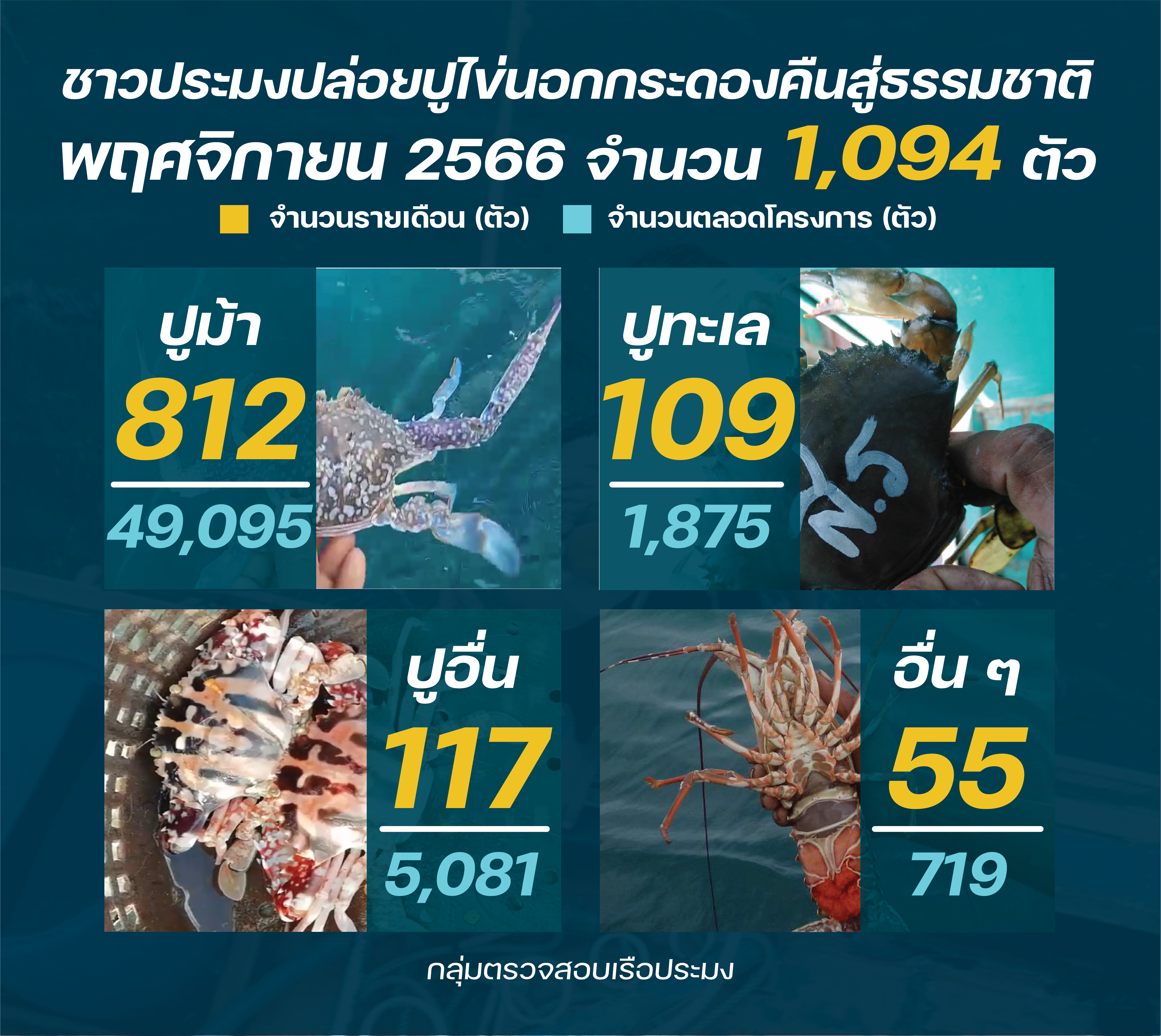 ชาวประมงปล่อยปูไข่ พฤศจิกายน 2566..คลิก