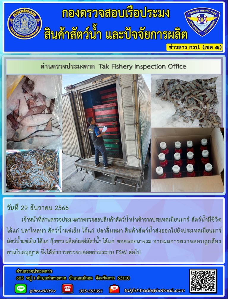 วันที่ 29 ธันวาคม 2566           เจ้าหน้าที่ด่านตรวจประมงตากตรวจสอบสินค้าสัตว์น้ำนำเข้าจากประเทศเมียนมาร์ สัตว์น้ำมีชีวิต ได้แก่ ปลาไหลนา สัตว์น้ำแช่เย็น ได้แก่ ปลาลิ้นหมา สินค้าสัตว์น้ำส่งออกไปยังประเทศเมียนมาร์ สัตว์น้ำแช่เย็น ได้แก่ กุ้งขาว ผลิตภัณฑ์สัตว์น้ำ ได้แก่ ซอสหอยนางรม จากผลการตรวจสอบถูกต้องตามใบอนุญาต จึงได้ทำการตรวจปล่อยผ่านระบบ FSW ต่อไป..คลิก