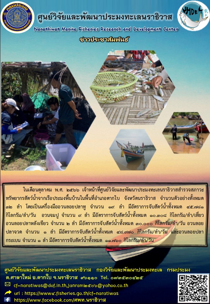 การสำรวจสภาวะทรัพยากรประมงประจำเดือนตุลาคม  2566 ในพื้นที่ อำเภอตากใบ จ.นราธิวาส..คลิก