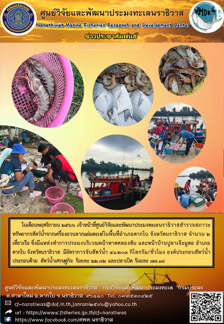 การสำรวจสภาวะทรัพยากรประมงประจำเดือนพฤศจิกายน 2566 ในพื้นที่ อำเภอตากใบ จ.นราธิวาส..คลิก
