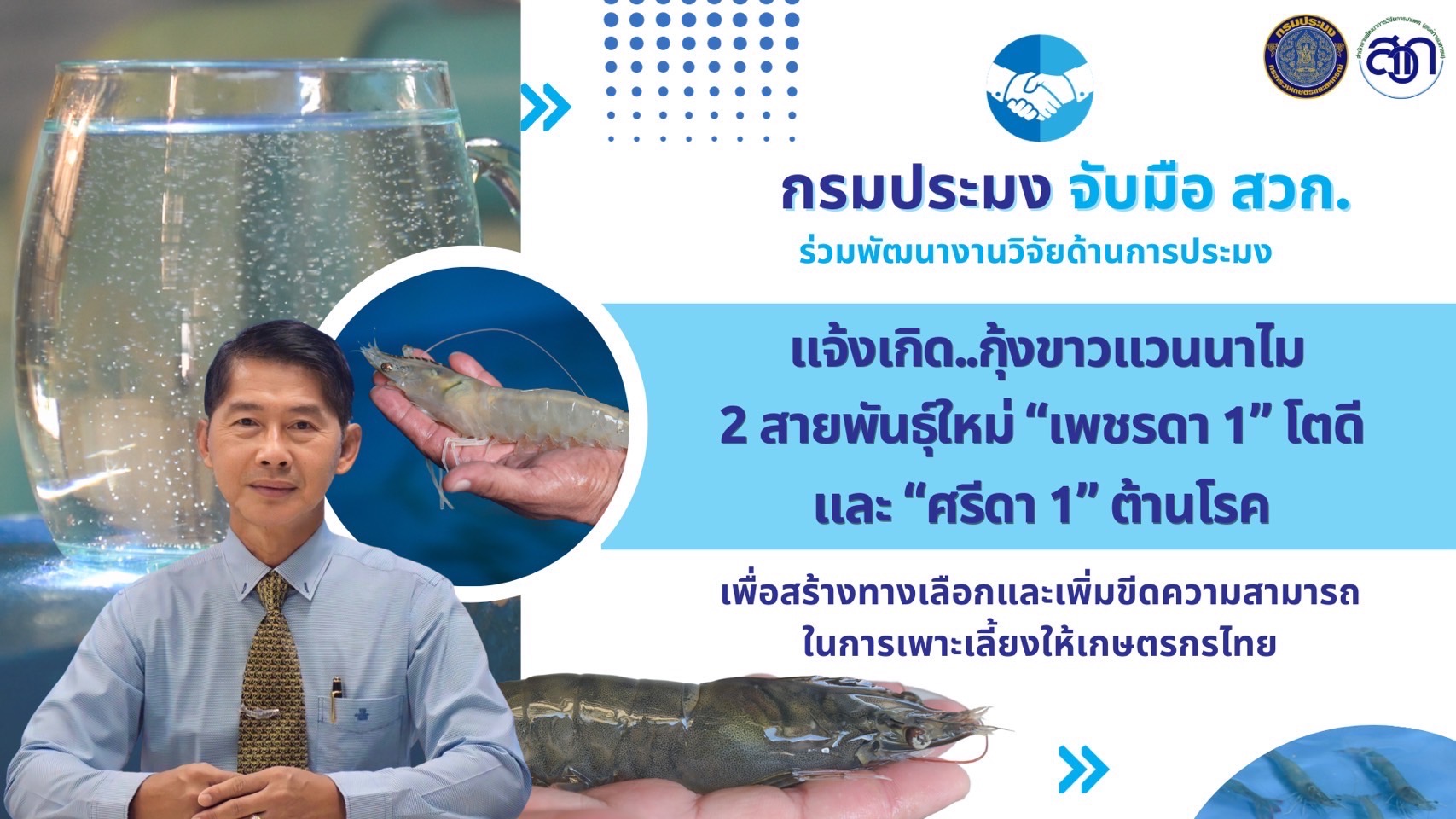 กรมประมง จับมือ สวก. ร่วมพัฒนางานวิจัยด้านการประมง   แจ้งเกิด..กุ้งขาวแวนาไม 2 สายพันธุ์ใหม่..คลิก