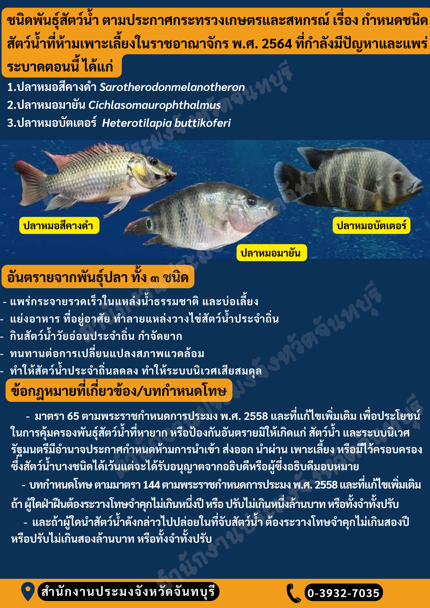 ลักษณะ 