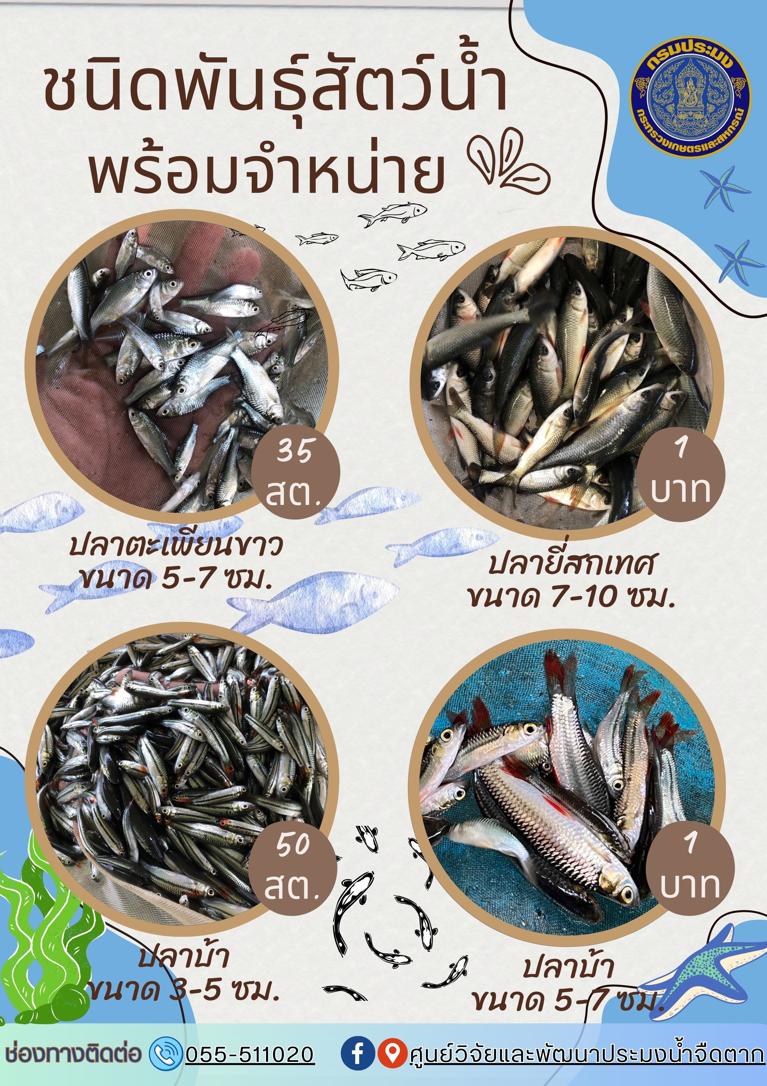 ชนิดพันธุ์สัตว์น้ำที่มีจำหน่ายระหว่างวันที่ ๓ - ๕ มกราคม พ.ศ. ๒๕๖๗..คลิก