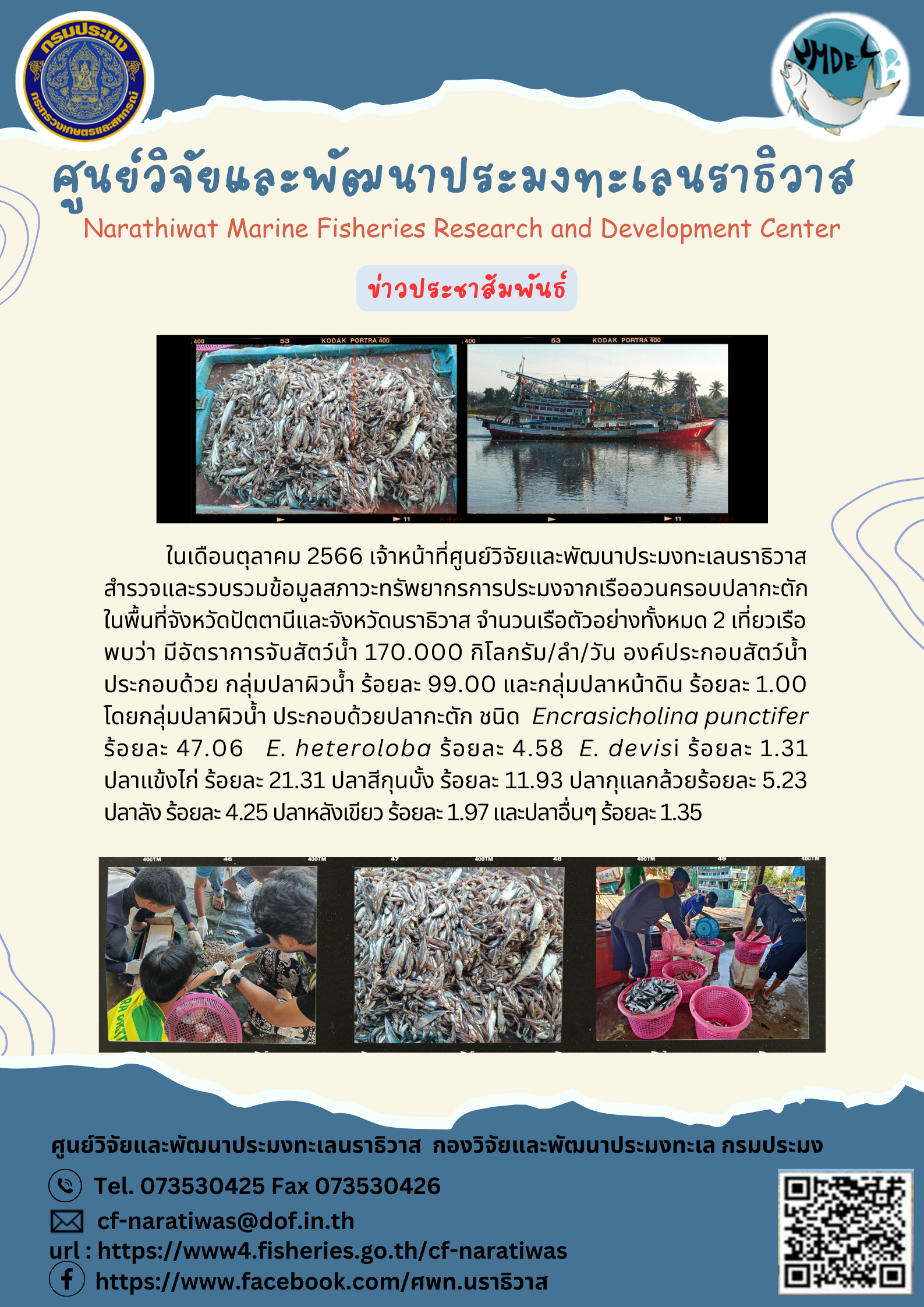 การสำรวจสภาวะทรัพยากรประมงจากเรืออวนครอบปลากะตักประจำเดือนตุลาคม  2566 ในพื้นที่ จังหวัดนราธิวาสและจังหวัดปัตตานี..คลิก