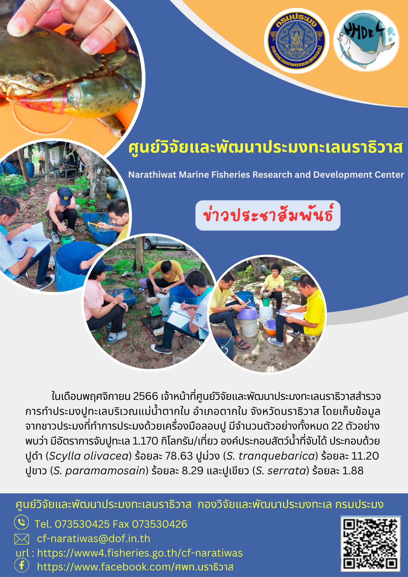 การสำรวจสภาวะทรัพยากรปูทะเล ประจำเดือนพฤศจิกายน 2566 ในพื้นที่ อำเภอตากใบ จ.นราธิวาส..คลิก