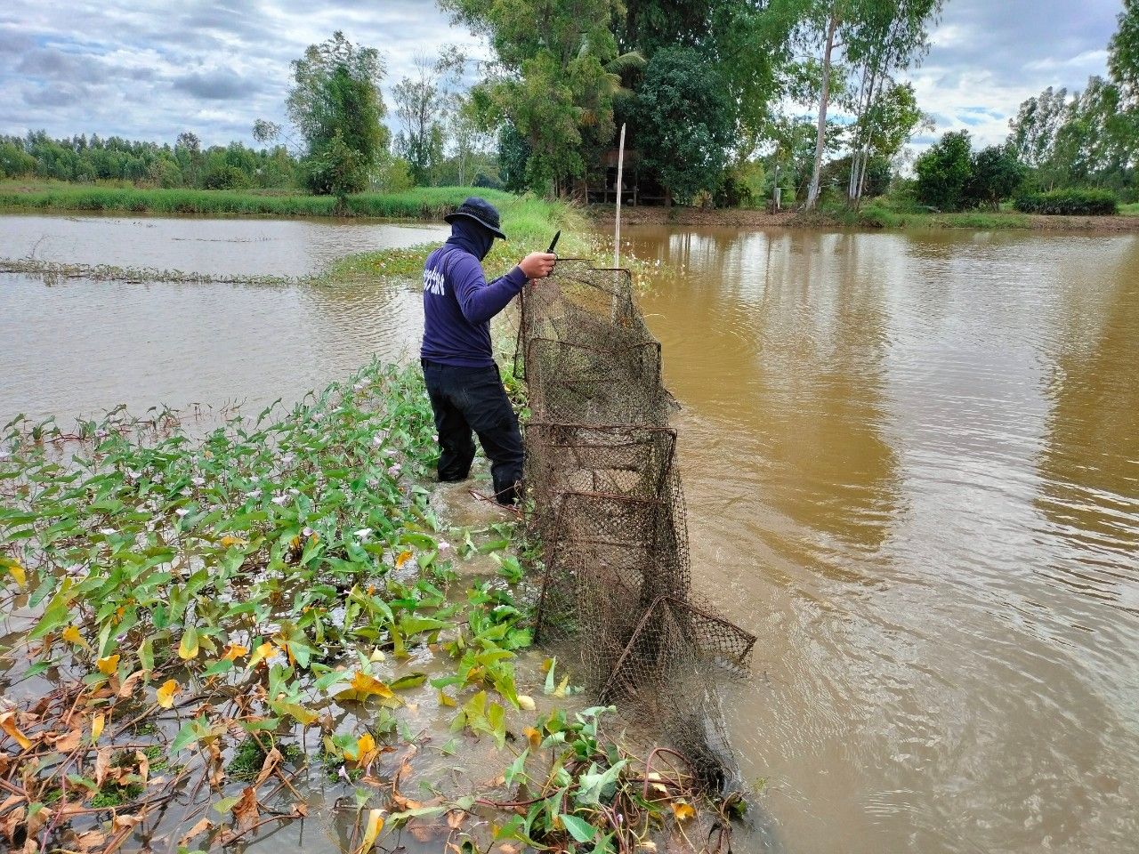 ควบคุมการทำประมงผิดกฎหมาย
