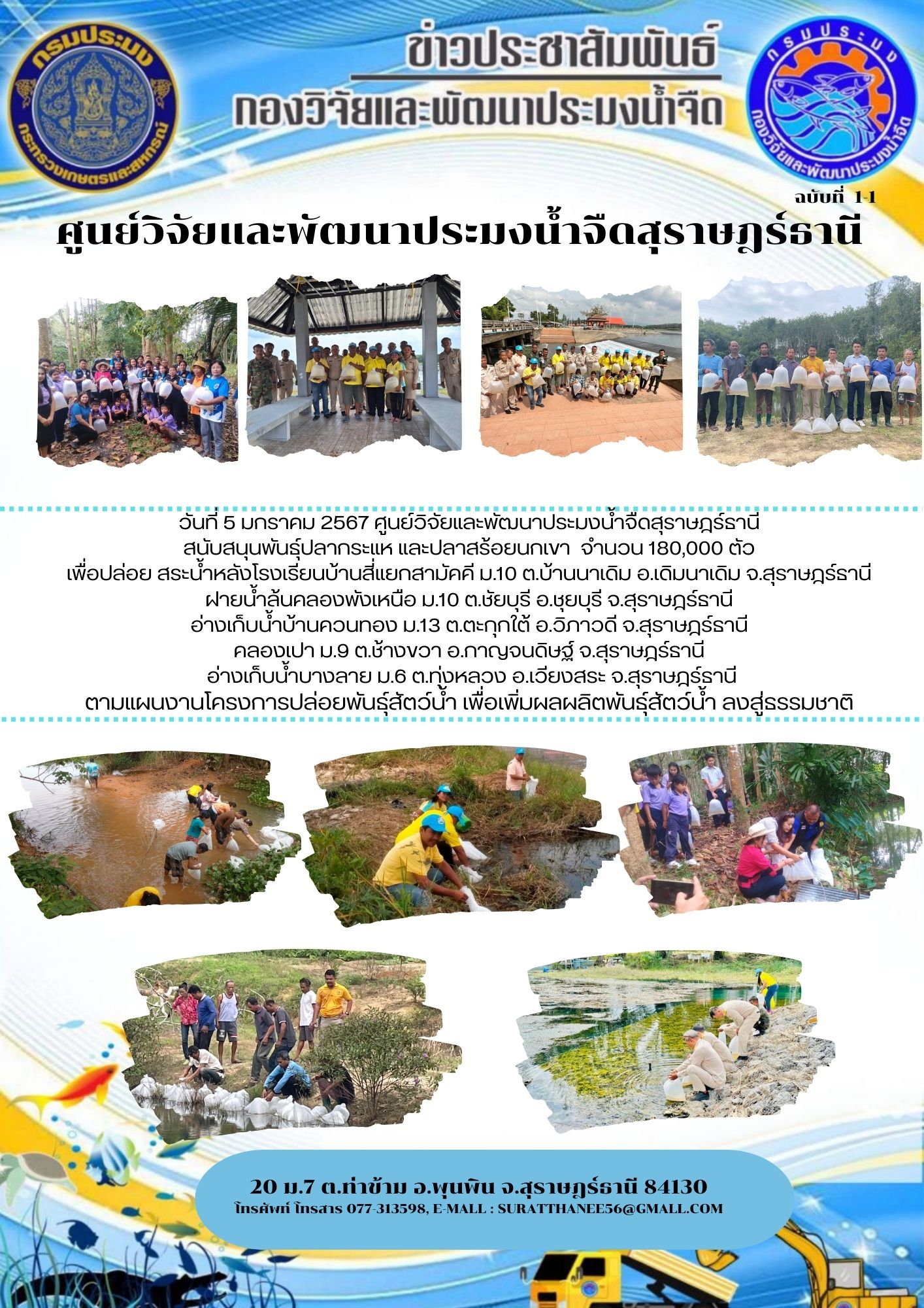วันที่ 5 มกราคม 2567 ศูนย์วิจัยและพัฒนาประมงน้ำจืดสุราษฎร์ธานี  สนับสนุนพันธุ์ปลากระแห และปลาสร้อยนกเขา จำนวน 180,000 ตัว