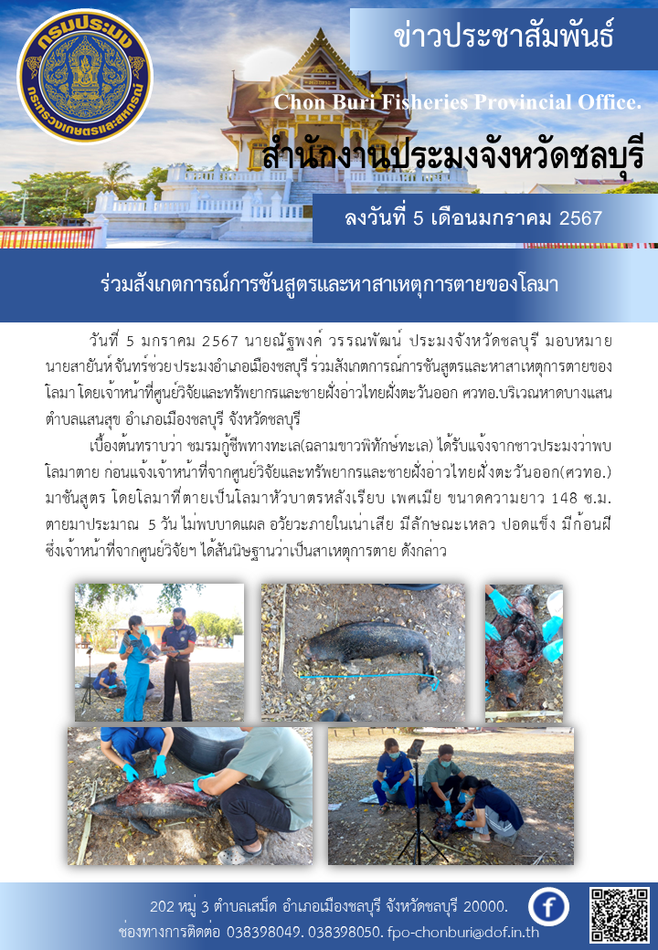 ร่วมสังเกตการณ์การชันสูตรและหาสาเหตุการตายของโลมา..คลิก