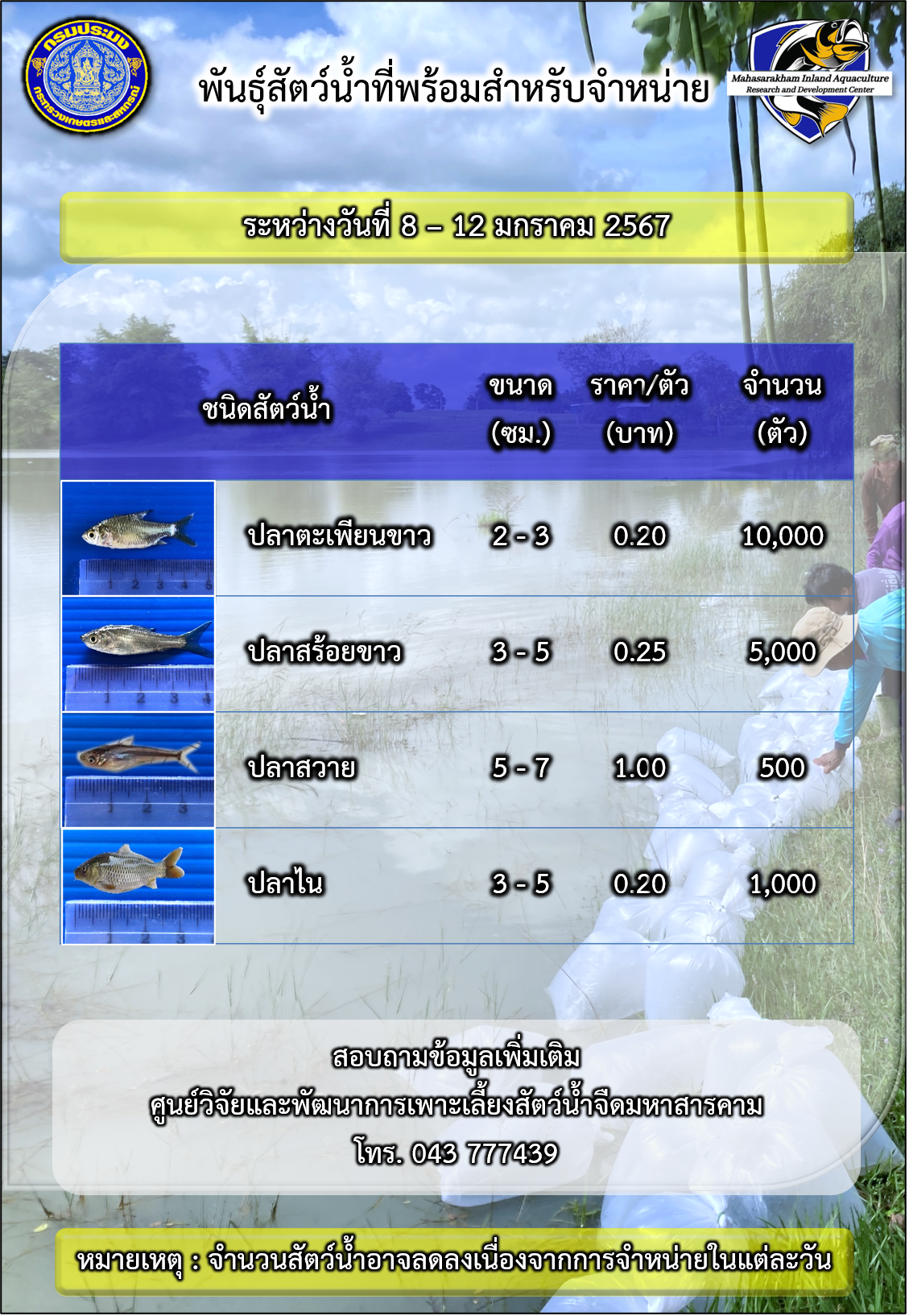 พันธุ์สัตว์น้ำที่พร้อมสำหรับจำหน่าย ระหว่างวันที่ 8 – 12 มกราคม 2567..คลิก