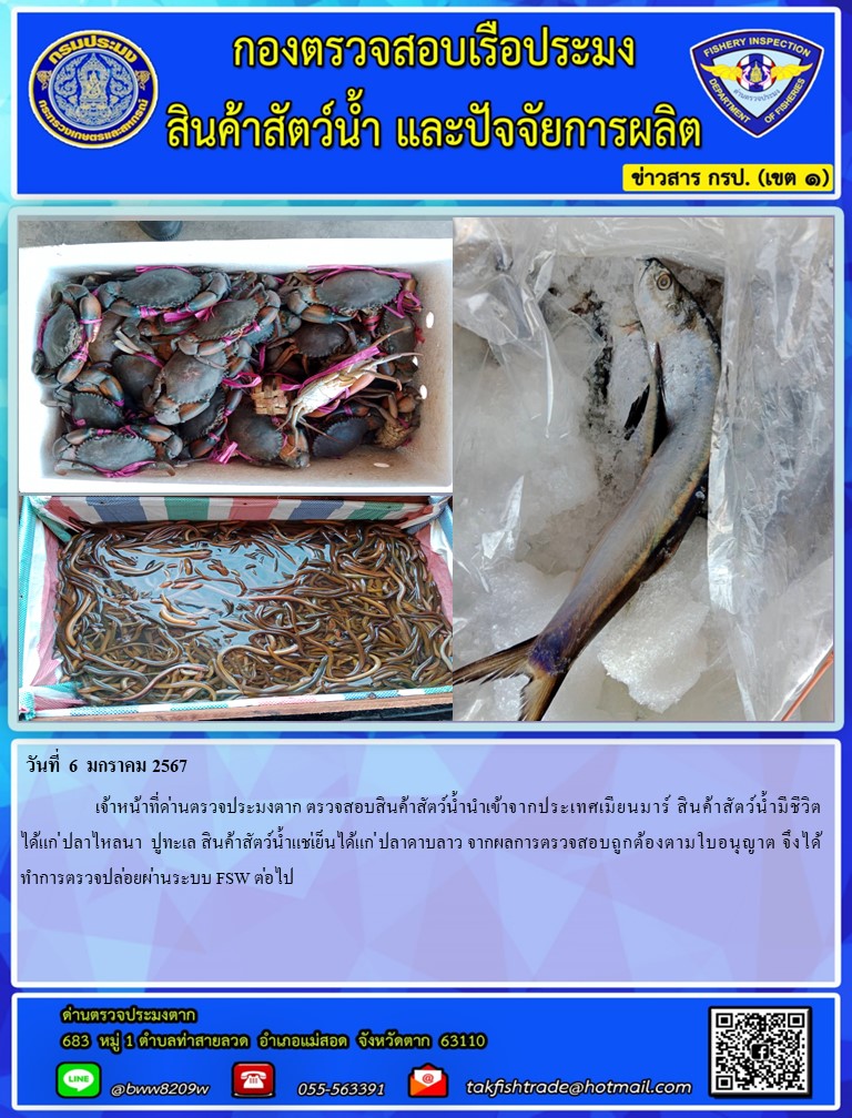 วันที่ 6 มกราคม 2567         เจ้าหน้าที่ด่านตรวจประมงตาก ตรวจสอบสินค้าสัตว์น้ำนำเข้าจากประเทศเมียนมาร์ สัตว์น้ำมีชีวิต ได้แก่ ปลาไหลนา หอยแครง สินค้าสัตว์น้ำแช่เย็น ได้แก่ ปลาลิ้นหมา จากผลการตรวจสอบถูกต้องตามใบอนุญาต จึงได้ทำการตรวจปล่อยผ่านระบบ FSW ต่อไป..คลิก