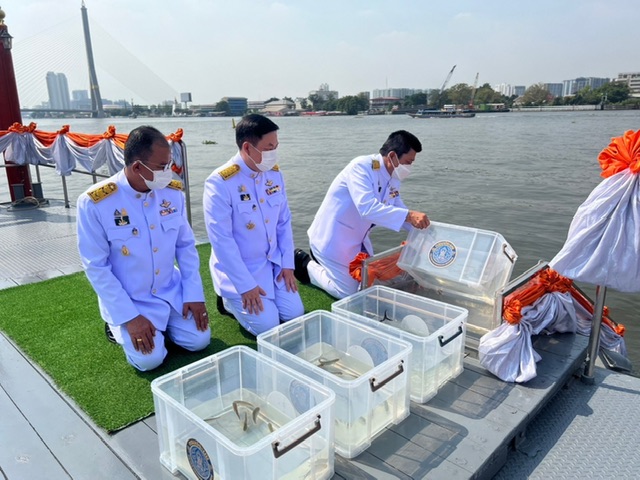 วันคล้ายวันประสูติ สมเด็จพระเจ้าลูกเธอ เจ้าฟ้าสิริวัณณวรี นารีรัตนราชกัญญา..คลิก
