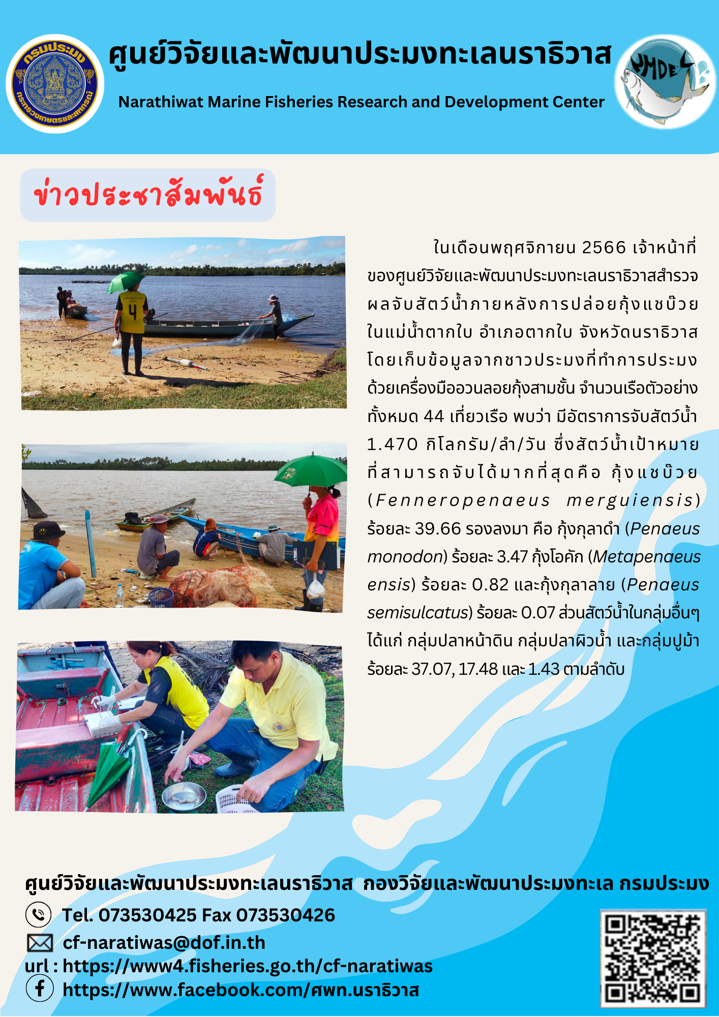 ในเดือนพฤศจิกายน 2566 เจ้าหน้าที่ของศูนย์วิจัยและพัฒนาประมงทะเลนราธิวาสสำรวจผลจับสัตว์น้ำภายหลังจากการปล่อยกุ้งแชบ๊วยในแม่น้ำตากใบ อำเภอตากใบ จังหวัดนราธิวาส โดยเก็บข้อมูลจากชาวประมงที่ทำการประมงด้วยเครื่องมืออวนลอยกุ้งสามชั้น จำนวนเรือตัวอย่างทั้งหมด 44 เที่ยวเรือ พบว่ามีอัตราการจับสัตว์น้ำ 1.470 กิโลกรัม/ลำ/วัน ฯลฯ..คลิก
