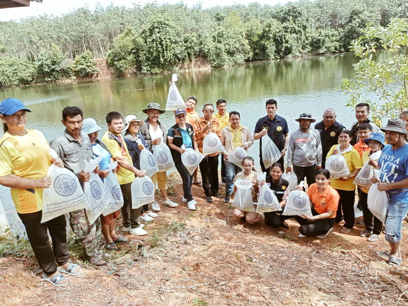 สนับสนุนพันธุ์ปลากินพืช เพื่อปล่อยลงสู่ฝายส่งน้ำบ้านชายหาร อ.ป่าบอน จ.พัทลุง..คลิก