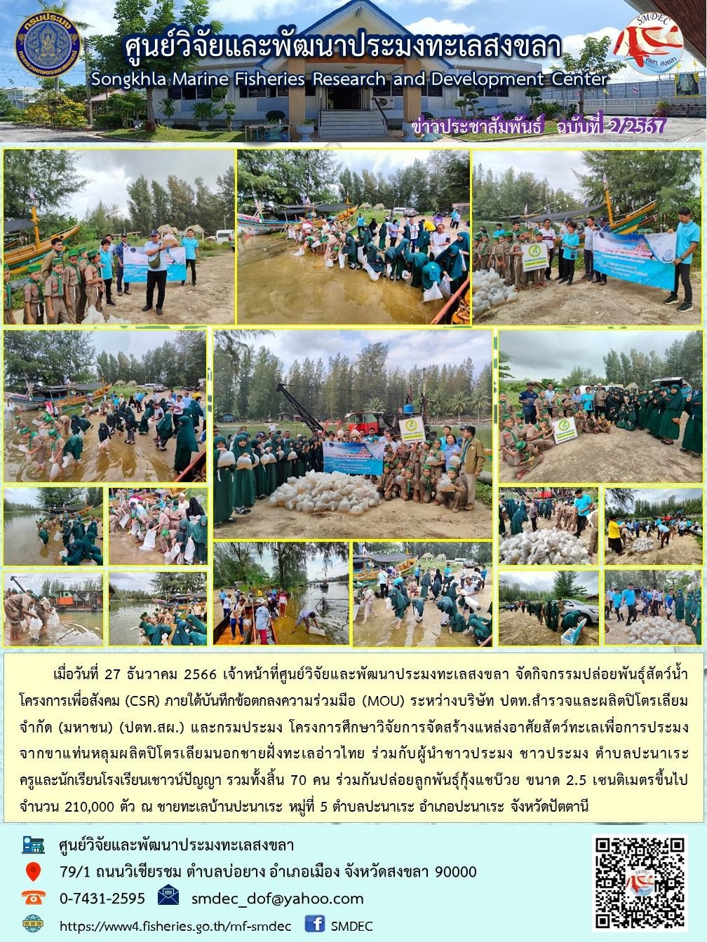 เมื่อวันที่ 27 ธันวาคม 2566 เจ้าหน้าที่ศูนย์วิจัยและพัฒนาประมงทะเลสงขลา จัดกิจกรรมปล่อยพันธุ์สัตว์น้ำ โครงการเพื่อสังคม (CSR) ภายใต้บันทึกข้อตกลงความร่วมมือ (MOU) ระหว่างบริษัท ปตท.สำรวจและผลิตปิโตรเลียมจำกัด (มหาชน) (ปตท.สผ.) และกรมประมง โครงการศึกษาวิจัยการจัดสร้างแหล่งอาศัยสัตว์ทะเลเพื่อการประมง จากขาแท่นหลุมผลิตปิโตรเลียมนอกชายฝั่งทะเลอ่าวไทย ร่วมกับผู้นำชาวประมง ชาวประมง ตำบลปะนาเระ ครูและนักเรียนโรงเรียนเชาวน์ปัญญา รวมทั้งสิ้น 70 คน..คลิก