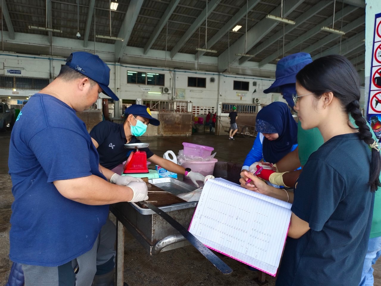   เมื่อวันที่ 8-11 มกราคม พ.ศ. 2567 เจ้าหน้าที่ศูนย์วิจัยและพัฒนาประมงทะเลสงขลา ออกเก็บข้อมูลโครงการชีววิทยาการสืบพันธุ์ปลากระบาง 2 ชนิด (Brevitrygon heterura และ B. imbricata) และปลากระเบนหัวแหลม(Telatrygon zugei) ในอ่าวไทย จากเรือประมงอวนลากแผ่นตะเฆ่ที่ขึ้นท่าในพื้นที่จังหวัดสงขลา