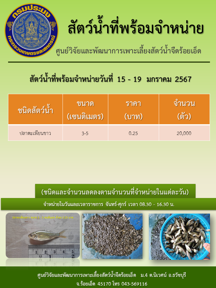 สัตว์น้ำที่พร้อมจำหน่ายวันที่ 15 – 19 มกราคม 2567..คลิก