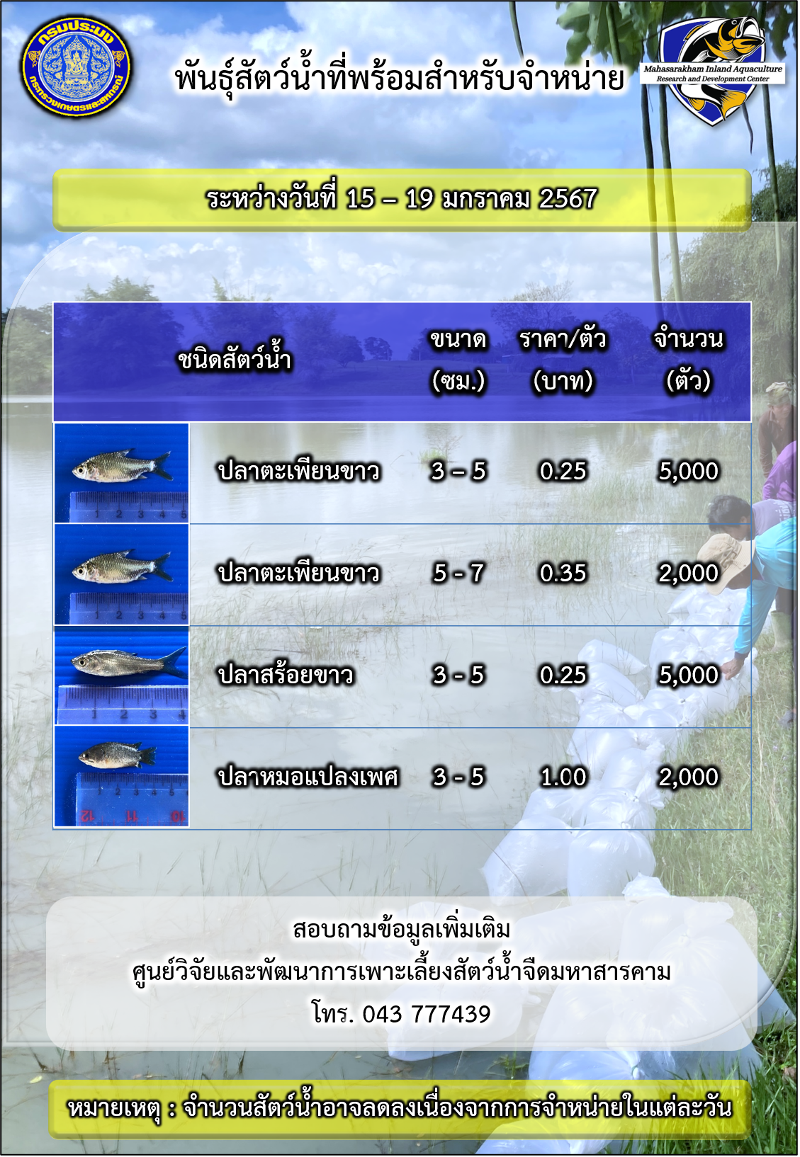 พันธุ์สัตว์น้ำที่พร้อมสำหรับจำหน่าย ระหว่างวันที่ 15 – 19 มกราคม 2567..คลิก