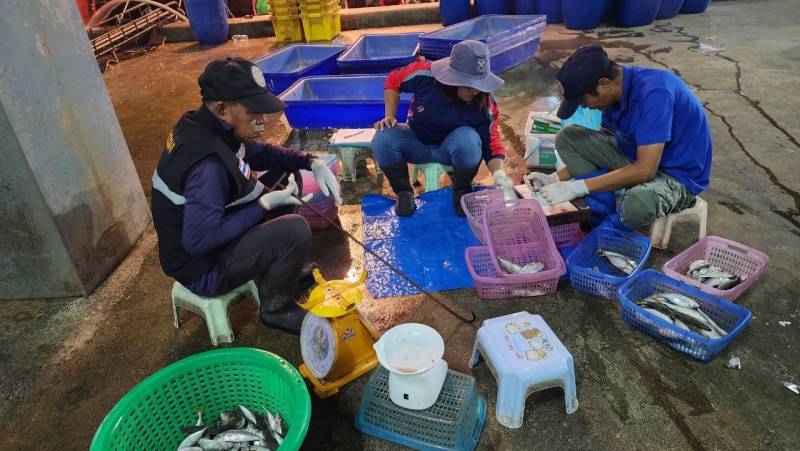 เจ้าหน้าที่ศูนย์วิจัยและพัฒนาประมงทะเลสงขลา ออกปฏิบัติงานเก็บข้อมูลทรัพยากรประมงจากเรืออวนล้อมจับที่ขึ้นท่าในพื้นที่จังหวัดนครศรีธรรมราช และปัตตานี ประจำเดือนธันวาคม 2566 โดยเก็บรวบรวมข้อมูลได้จากเรืออวนล้อมซั้ง จำนวน 9 ลำ..คลิก