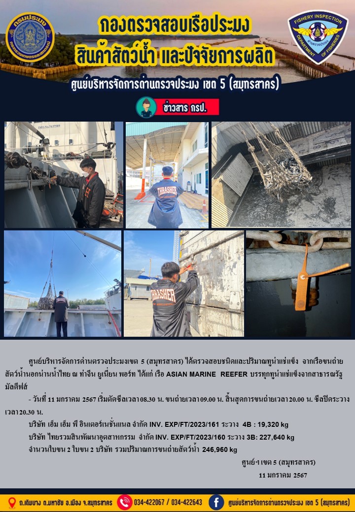 การขนถ่ายทูน่าแช่แข็งจากเรือขนถ่ายสัตว์น้ำสัญชาติไทย เรือ ASIAN MARINE REEFER บรรทุกทูน่าแช่แข็งจากประเทศมัลดีฟส์ วันที่ 11 มกราคม 2567..คลิก