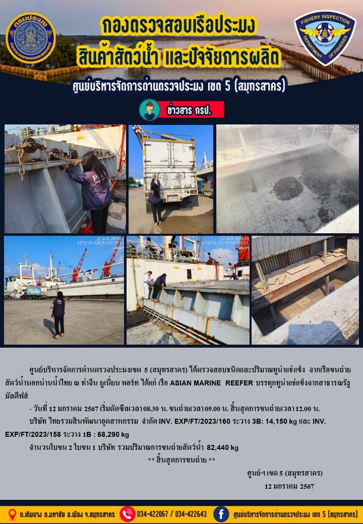 การขนถ่ายทูน่าแช่แข็งจากเรือขนถ่ายสัตว์น้ำสัญชาติไทย เรือ ASIAN MARINE REEFER บรรทุกทูน่าแช่แข็งจากประเทศมัลดีฟส์ วันที่ 12 มกราคม 2567..คลิก