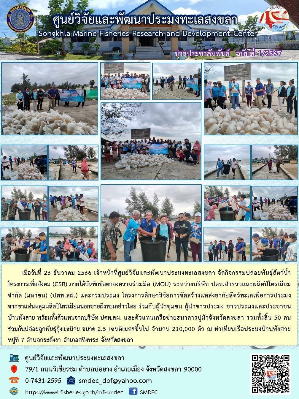 วันศุกร์ที่ 26 ธันวาคม 2566 เจ้าหน้าที่ศูนย์วิจัยและพัฒนาประมงทะเลสงขลา จัดกิจกรรมปล่อยพันธุ์สัตว์น้ำ โครงการเพื่อสังคม (CSR) ภายใต้บันทึกข้อตกลงความร่วมมือ (MOU) ระหว่างบริษัท ปตท. สำรวจและผลิตปิโตเลียม จำกัด (มหาชน) (ปตท.สผ.) และกรมประมง โครงการศึกษาวิจัยการจัดสร้างแหล่งอาศัยสัตว์ทะเลเพื่อการประมง จากขาแท่นหลุ่มผลิตปิโตเลียมนอกชายฝั่งทะเลอ่าวไทย ร่วมกับผู้นำชุมชน ผู้นำชาวประมง ฯลฯ..คลิก