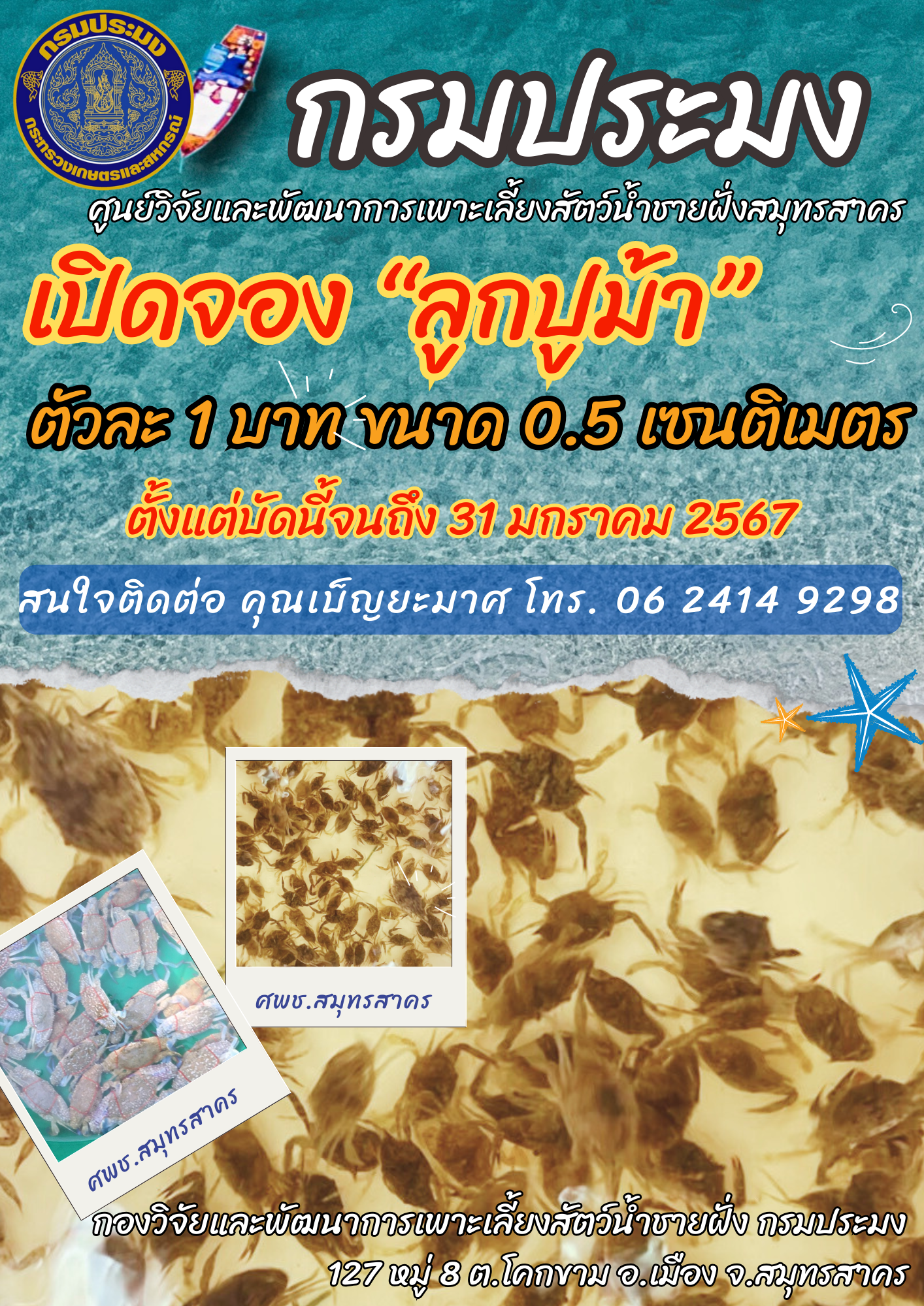 เปิดจองลูกพันธุ์ปูม้า..คลิก